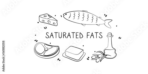 Saturated fatty acids-containing food. Groups of healthy products containing vitamins and minerals. Set of fruits, vegetables, meats, fish and dairy.
