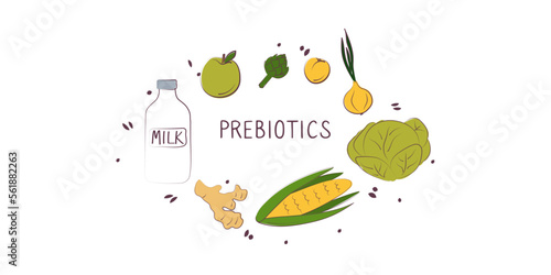 Prebiotics-containing food. Groups of healthy products containing vitamins and minerals. Set of fruits, vegetables, meats, fish and dairy.