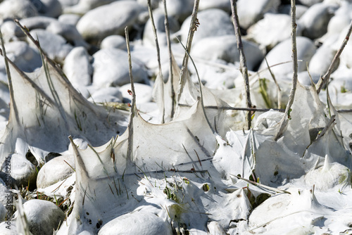 de invierno, nieve, catarro, naturaleza, hielo, árbol, escarcha, blanco, sucursal, ciclos, paisaje, bosque, congelada, acuático, fábrica, río, arroyo, congelación, azul, árbol, cielo, nevado, navida, 