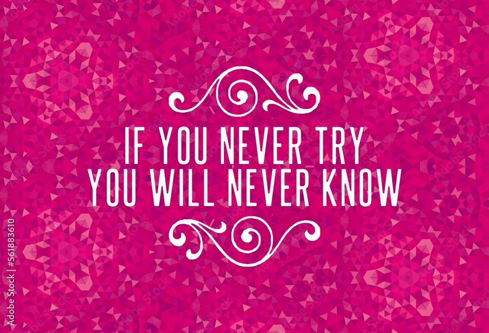 If You Never Try You Will Never Know Inspiration and motivation quotes