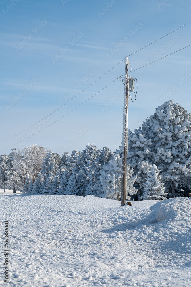 power line in the winter