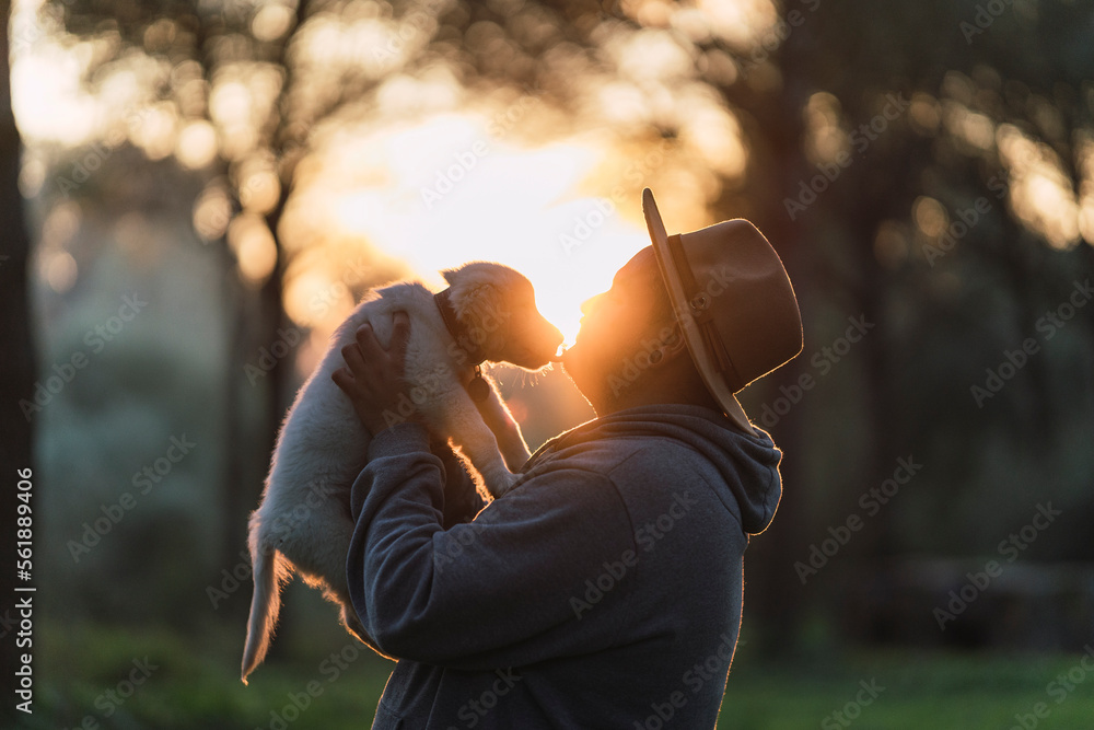 Chico de mediana edad con sombrero al atardecer en el bosque con cachorro de golden retriver Chico de mediana edad con sombrero al atardecer en el bosque con cachorro de golden retriver