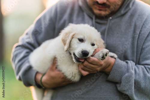 Chico de mediana edad con sombrero al atardecer en el bosque con cachorro de golden retriver