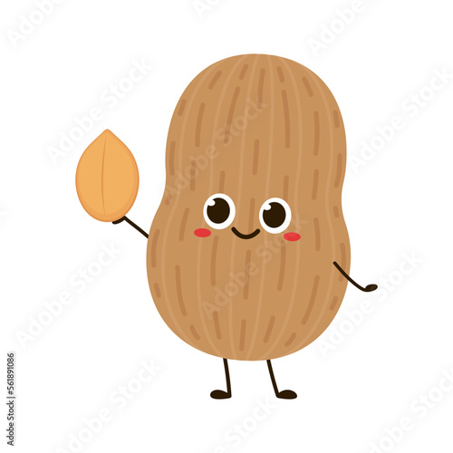Peanut cartoon vector. Peanut on white background.
