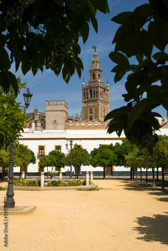 The Giralda tower in Seville  Spain  seen from the grounds of the castle.