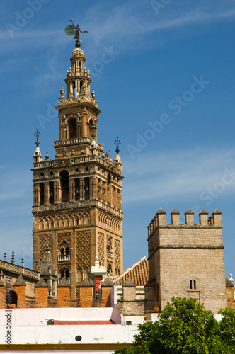 The Giralda tower in Seville, Spain, seen from the grounds of the castle. Close up.