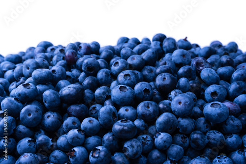 Wallpaper Mural Fresh blueberry background isolated on white. Torontodigital.ca