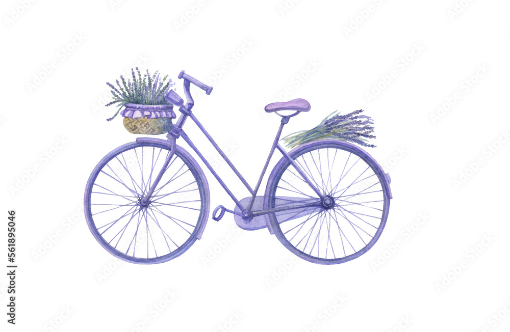 watercolor image of a lilac bicycle with a bouquet of lavender in a basket