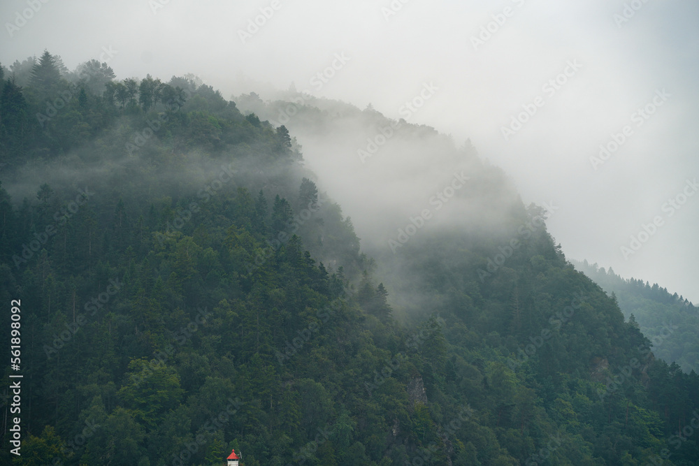 Tief hängende Wolken in den norwegischen Wäldern