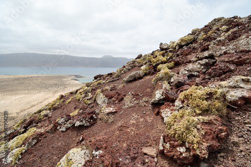 Reddish rock colonized by lichens in Montaña Amarilla