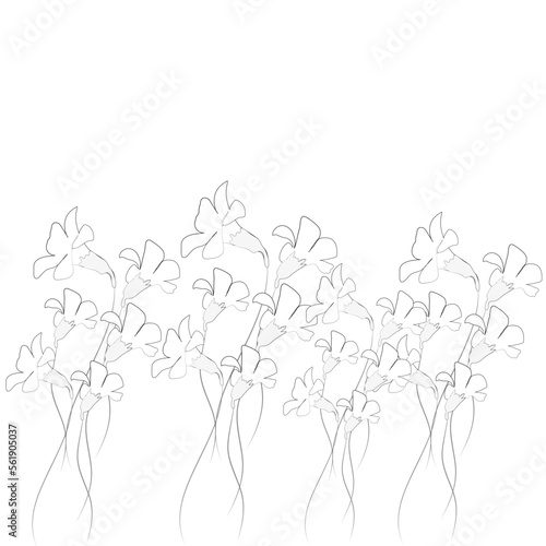 abstract floral background © YUMEHAN CELiLOGLU