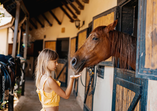 Portrait of teenage girl with horse in stable