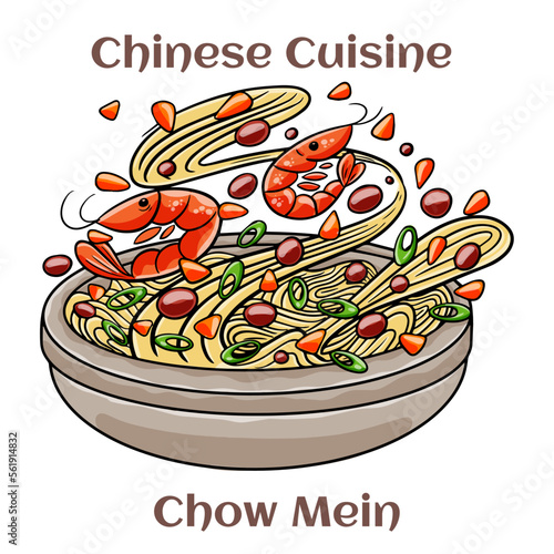 Chow Mein. Stimfried noodles with the meat?poultry and vegetables. Chinese food. Vector image isolated.