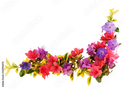 Border of colorful Spring leaves and flowers