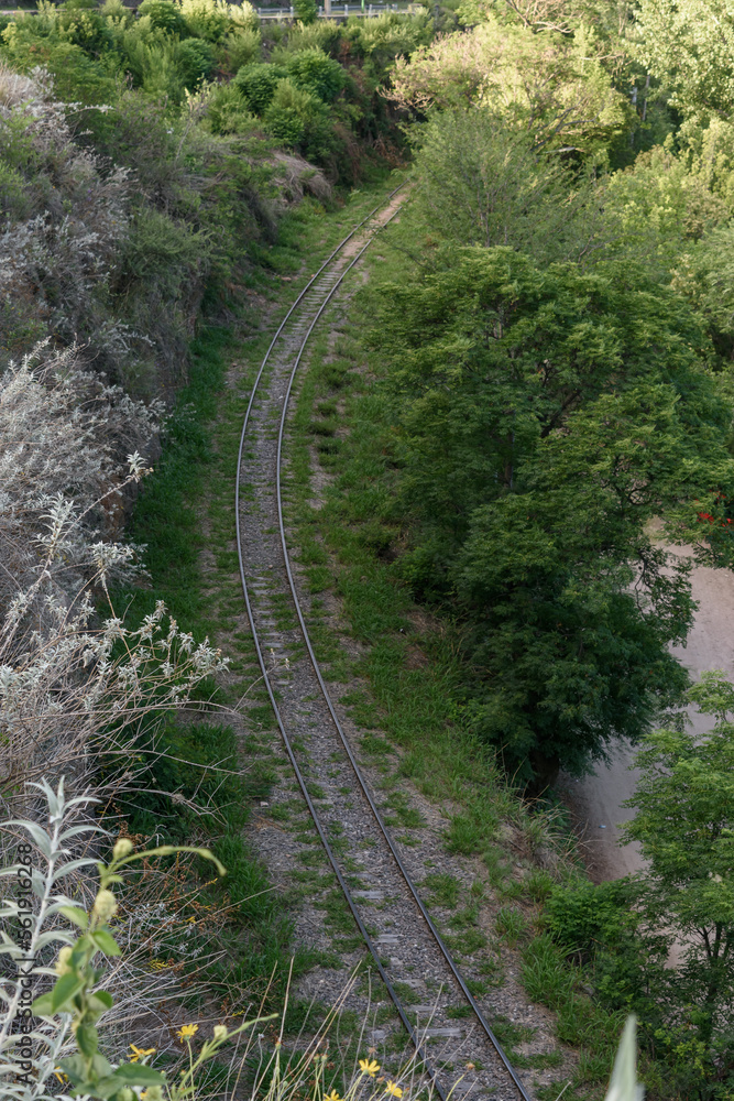 Vista aérea de vías del ferrocarril en medio del bosque.