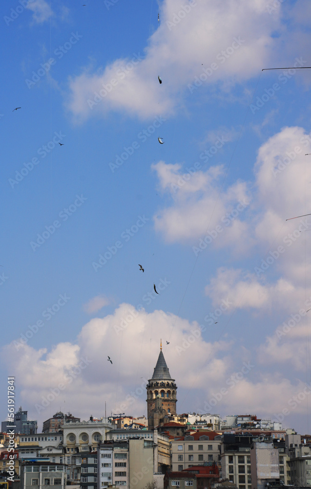 Obraz premium Daily life in the city. Fisherman`s fishes in front of The Galata Tower in Istanbul, Turkey.