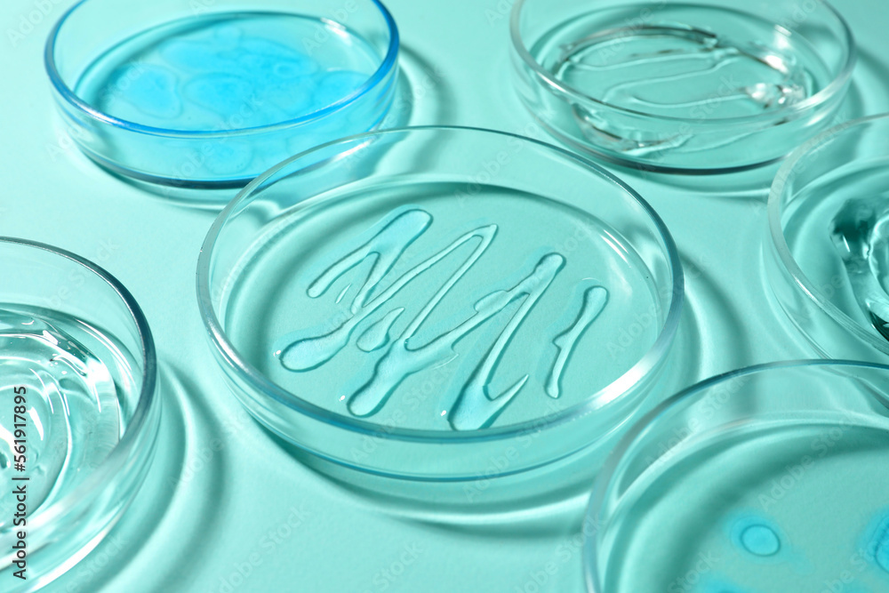 Petri dishes with liquids on turquoise background, closeup Petri dishes with liquids on turquoise background, closeup