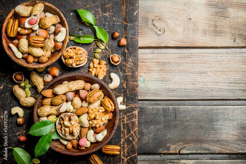 Different types of nuts in bowls with green leaves.
