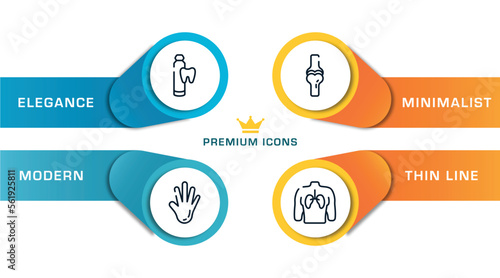 body parts outline icons with infographic template. thin line icons such as toothpaste tube, hand showing palm, ball of the knee, human with focus on the lungs vector.