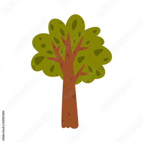Tree with Trunk and Lush Green Crown Growing in Park or Woodland Vector Illustration