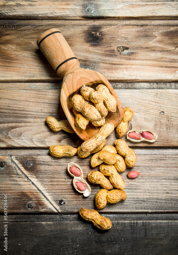 Fototapeta premium Peanuts in a wooden scoop .