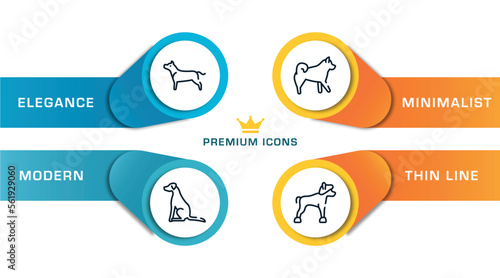 dog breeds fullbody outline icons with infographic template. thin line icons such as american staffordshire terrier, pointer dog, malamute, chinese crested vector.