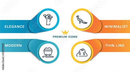 wildlife outline icons with infographic template. thin line icons such as baobab, wagon, peacock, anthill vector.