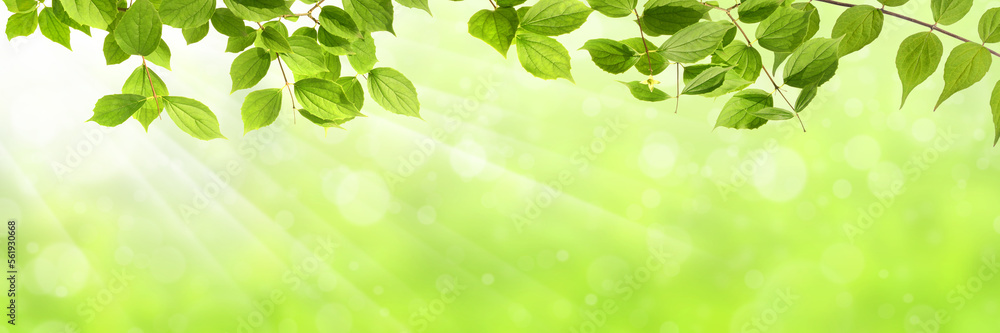 Naklejka premium Frühling 644