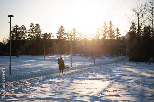 person walking in evening sun, winter