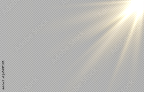Light, sun on an isolated transparent background. The rays of the sun png. Light png. Sunrise Sunset. Flash Light. Vector illustration.