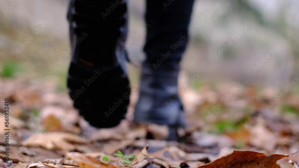 feet with boots on dry leaves, man walking in the forest in autumn, forest excursion, forest excursion with black boat, shoe advertisement video, travel advertisement video, slow motion 120 fps feet with boots on dry leaves, man walking in the forest in autumn, forest excursion, forest excursion with black boat, shoe advertisement video, travel advertisement video, slow motion 120 fps