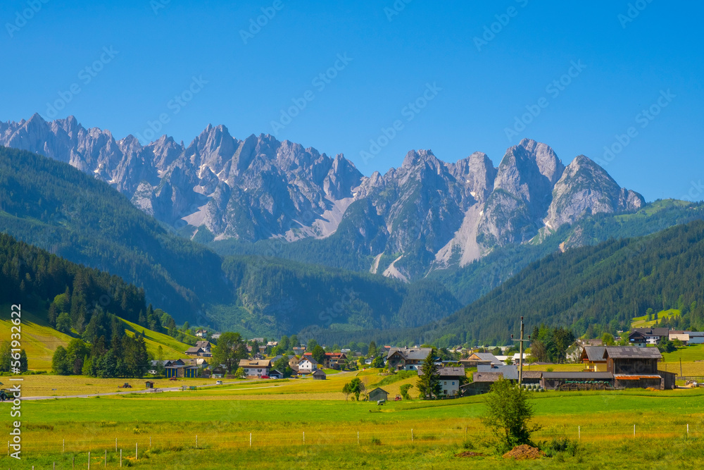 Obraz premium Panoramic view of idyllic mountain scenery in the Alps with fresh green meadows in bloom on a beautiful sunny day in springtime
