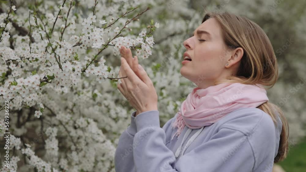 Side view of beautiful female, allergic to spring flowers, sneezing while smelling white flowers. Attractive woman with elegant scarf standing near blossoming tree in park Side view of beautiful female, allergic to spring flowers, sneezing while smelling white flowers. Attractive woman with elegant scarf standing near blossoming tree in park