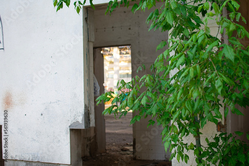 old house with window