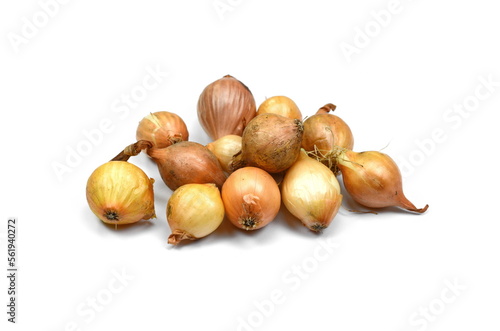 Seeding onion on white background. Spring onion bulbs. Small bulbs yellow onion sets ready to planting. Springtime, gardening concept.