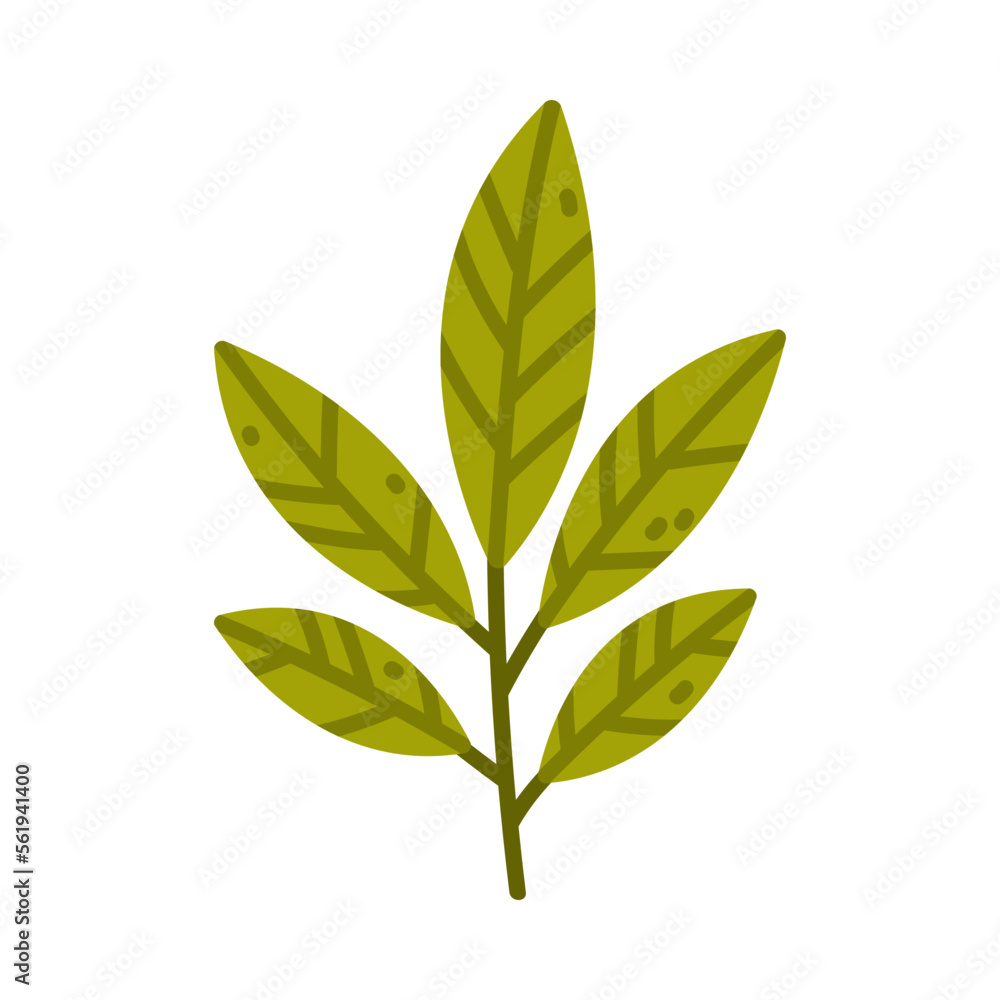 Naklejka premium Floral Twig with Green Leaves as Cute Foliage Vector Illustration