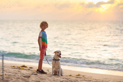 Child and dog playing on tropical beach