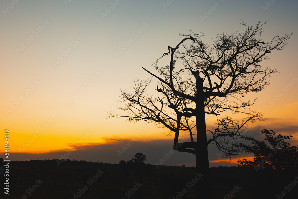 silhouette at sunset silhouette at sunset