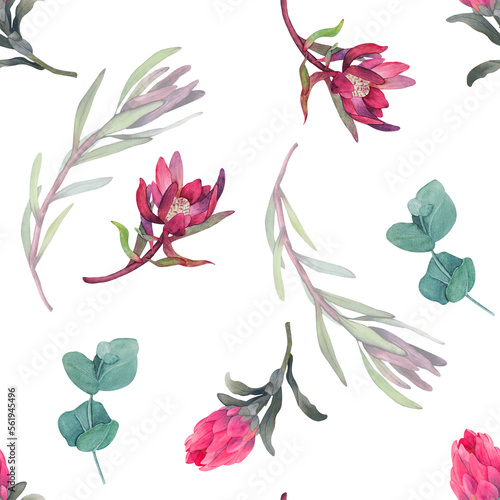 Fototapeta Naklejka Na Ścianę i Meble -  Watercolor seamless pattern with magenta protea, floral background blooming flowers and protea leaves. Print for fabric, textile, roll wallpaper, design, backgrounds, textures, digital paper
