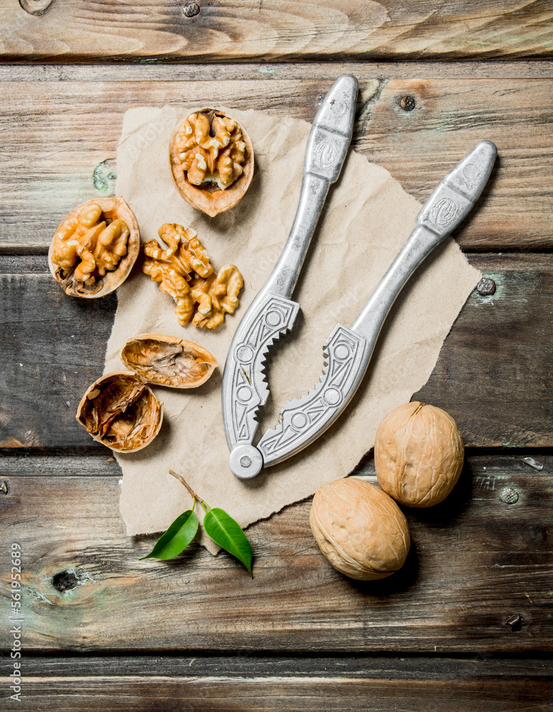 Shelled walnuts with a Nutcracker. Shelled walnuts with a Nutcracker.