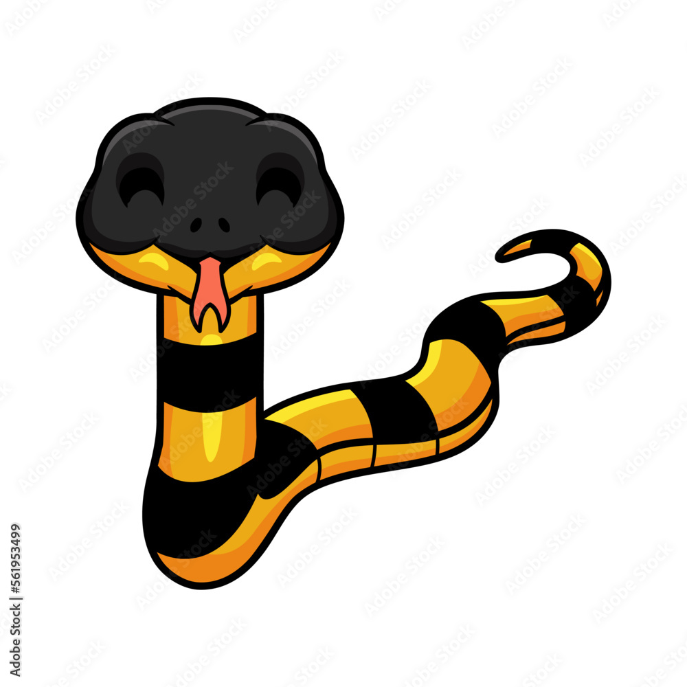Fototapeta premium Cute banded krait bungarus candidus cartoon