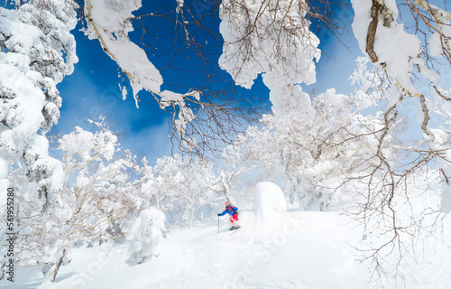 A male skier is riding in deep powder snow. The trees are covered with a white layer and the sky is blue. Fairy tale landscape.