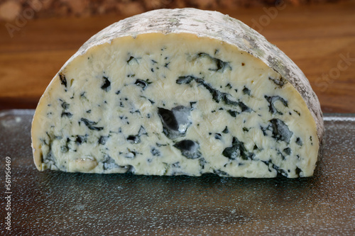 Cheese collection, piece of French blue cheese auvergne or fourme d'ambert photo