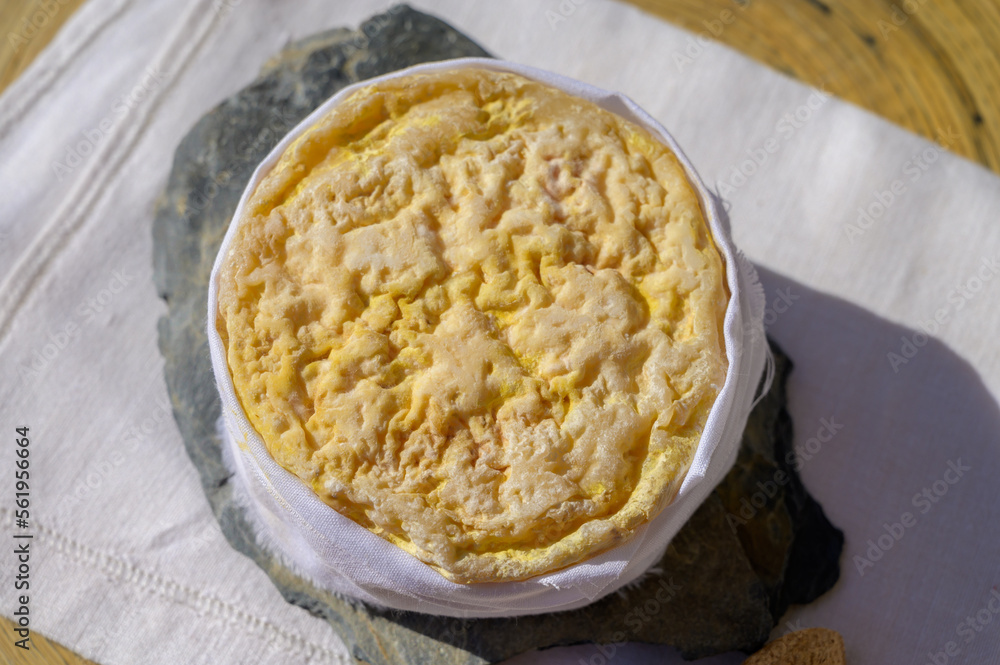 Tasting of local portuguese matured cheese queijo serpa, Setubal area, Portugal Tasting of local portuguese matured cheese queijo serpa, Setubal area, Portugal