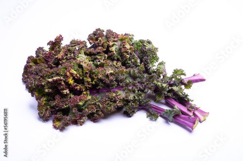 Leaves of winter vegetable purple kale cabbage on white background