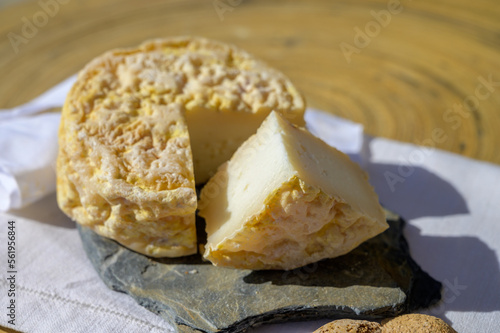 Tasting of local portuguese matured cheese queijo serpa,  Setubal area, Portugal photo
