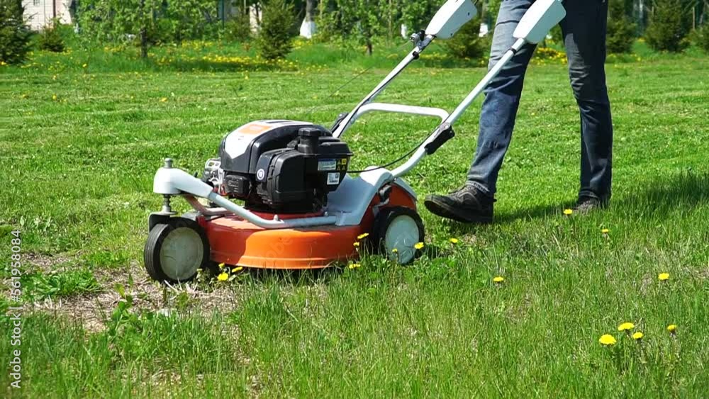 Close-up of a man mowing grass in the backyard with a lawn mower. Mowing dandelions. Weed cleaning Close-up of a man mowing grass in the backyard with a lawn mower. Mowing dandelions. Weed cleaning