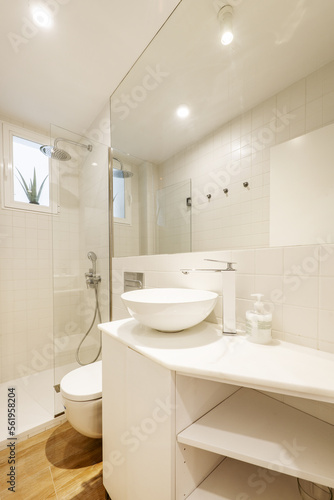 Bathroom with white wood cabinets  white porcelain hemispherical sink  large built-in mirror  and glass-enclosed shower stall