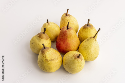 A bunch of yellow pears with their stems upright and a red one in the center on a white smooth surface