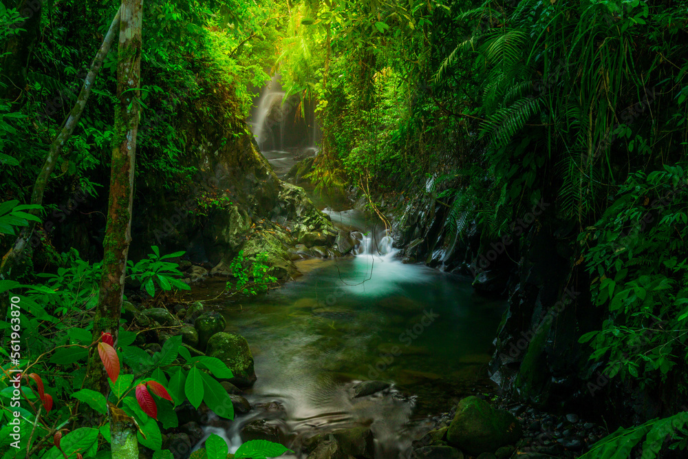 indonesian landscape in the morning with a waterfall inside a beautiful tropical forest